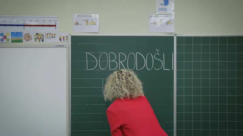 Fotografija: Sedanji odločitvi za generični moški spol botruje več razlogov. FOTO: Jože Suhadolnik/Delo