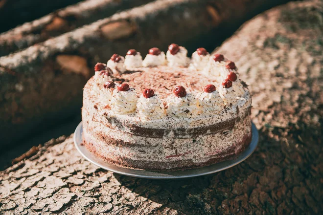 Baden-Württemberg, torta črni gozdiček FOTO: DZT/ Leungmo    