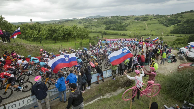 Fotografija: Giro d'Italia je letos gostoval v Goriških Brdih. FOTO: Jure Eržen