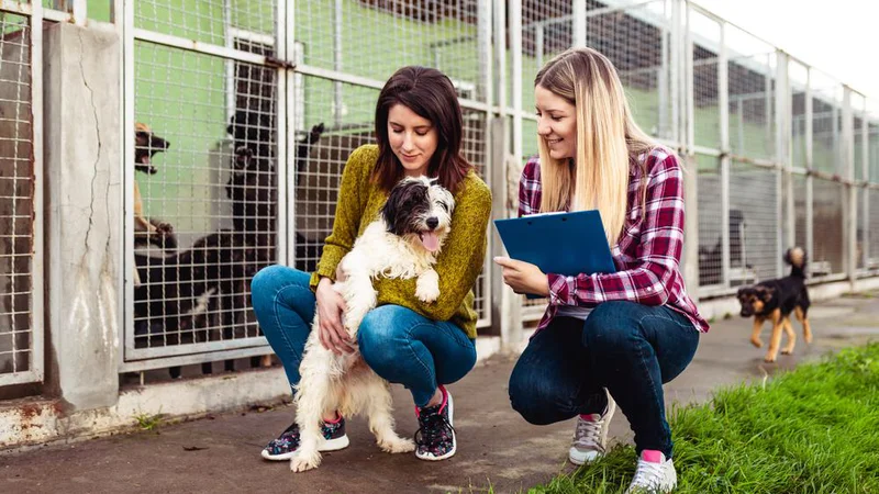 Fotografija: Postali smo zelo odgovorna družba in velika večina skrbnikov nakup ali posvojitev psa vnaprej dobro premisli. FOTO: Hedgehog94, Shutterstock