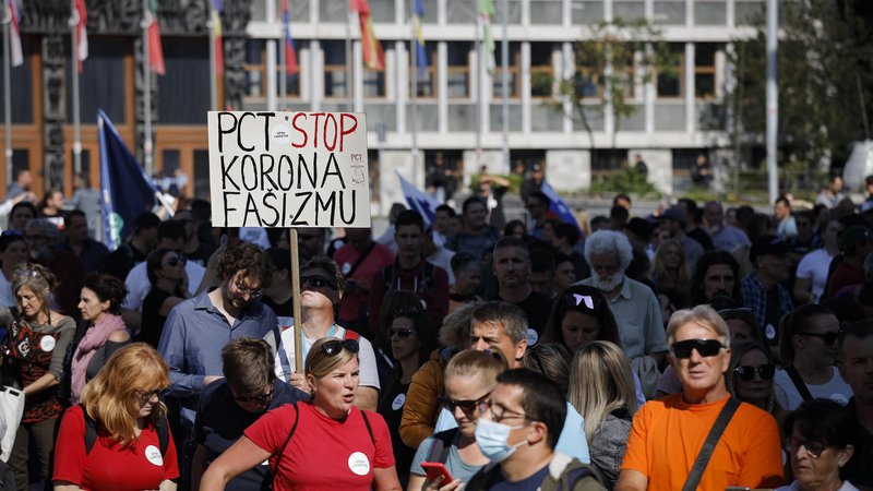 Fotografija: Protivladni protestniki pred parlamentom FOTO: Jože Suhadolnik/Delo