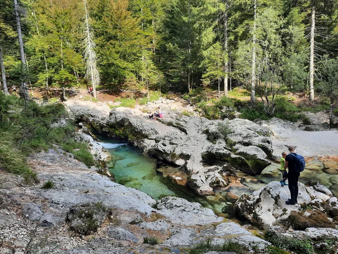 S panoramske poti ob koritih Mostnice, ki vodi po gozdni poti s številnimi ovinki, kjer se lahko približamo vodi, lahko opazujemo zanimive naravne stvaritve. Foto Agata Rakovec Kurent