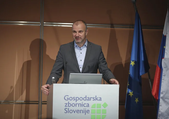 Po mnenju Aleša Cantaruttija, generalnega direktorja GZS, se spreminja tudi vloga podpornih institucij. FOTO: Jože Suhadolnik/Delo