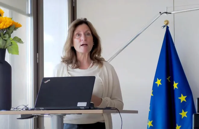 Osrednja govorka na konferenci Kerstin Jorna, generalna direktorica generalnega direktorata Evropske komisije za notranji trg, industrijo, podjetništvo ter mala in srednja podjetja FOTO: Jože Suhadolnik/Delo