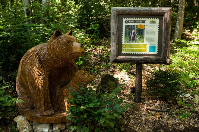 Na 470 metrov dolgi krožni poti najmlajši obiskovalci lahko občudujejo 35 lesenih skulptur živali. FOTO: Gašper Stopar