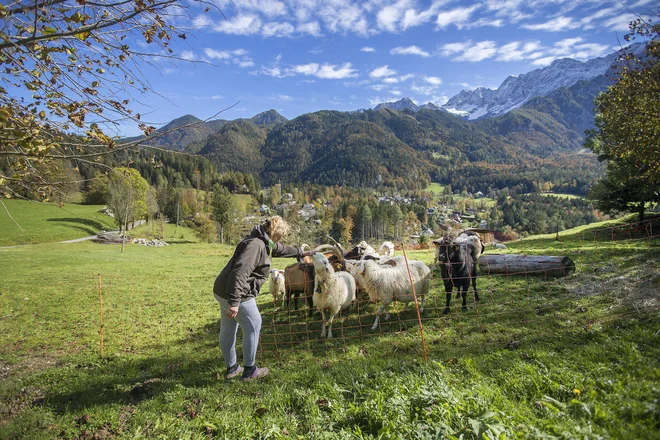 Jezersko tudi kot članica skupnosti gorskih vasi privabi številne tuje goste. FOTO: Leon Vidic/Delo