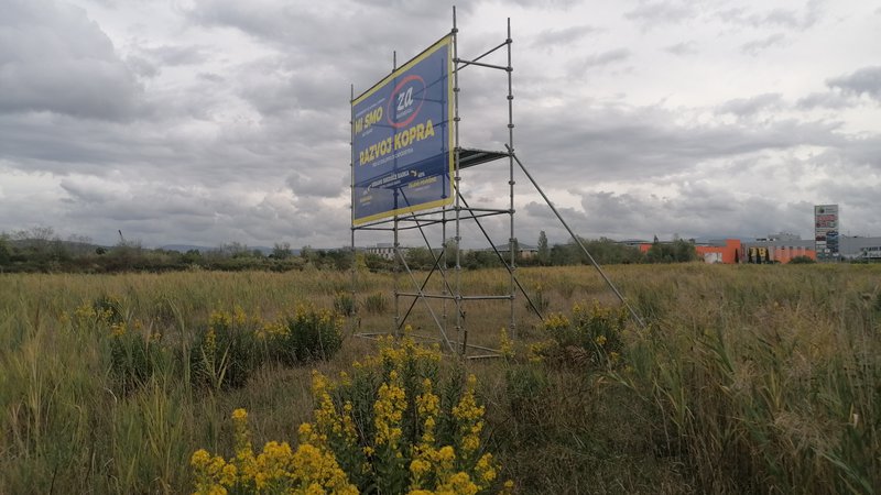 Fotografija: V referendumsko kampanjo o namembnosti zaraščenega zemljišča ob koprski Ferrarski cesti so se vključili tudi lastniki. FOTO: Nataša Čepar/Delo