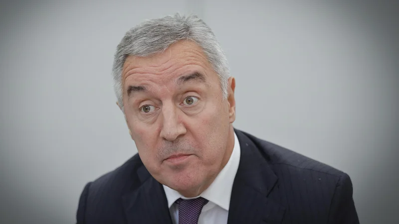 Sedemkratni predsednik vlade Črne gore in sedanji predsednik države pravi, da je na Brdu pri Kranju dobil to, kar je pričakoval, in spomnil, da je njegova država od vseh v regiji prišla najdlje na evropski poti. FOTO: Jože Suhadolnik/Delo