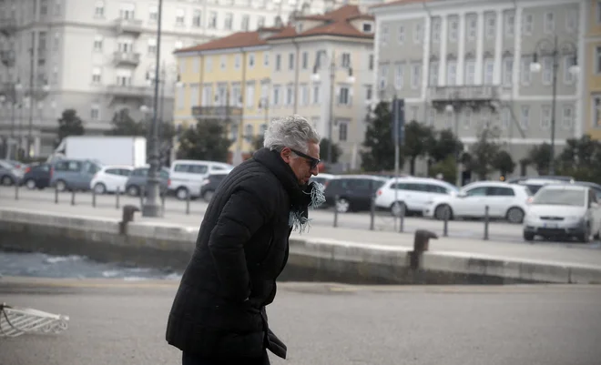 FOTO: Blaž Samec/Delo