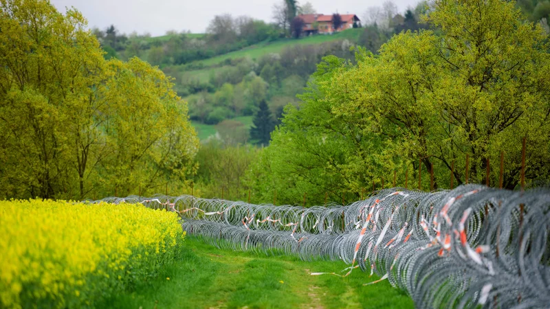 Fotografija: FOTO: Jure Makovec/Afp