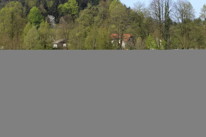 Arboretum je vreden obiska v vseh letnih časih. FOTO: Leon Vidic