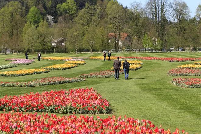 Arboretum je vreden obiska v vseh letnih časih. FOTO: Leon Vidic