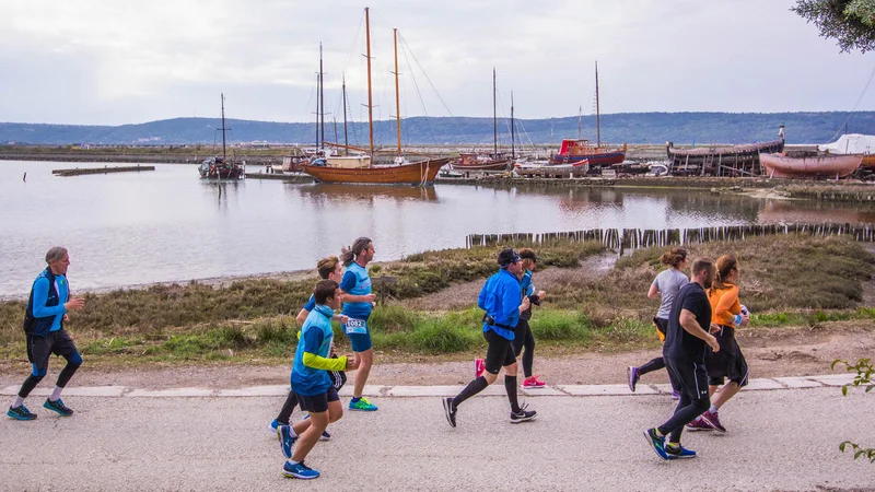 Fotografija: Na voljo je aplikacija Virtualni Istrski maraton za pametne telefone. FOTO: Foto klub Portorož
