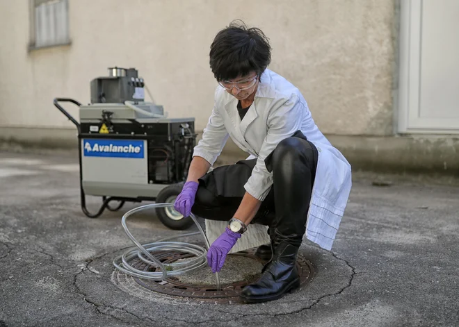 V raziskavo so vključili 44 izobraževalnih institucij. FOTO: Blaž Samec
