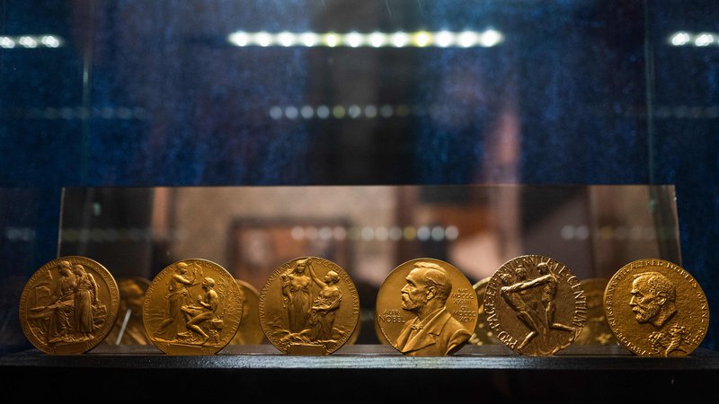 Fotografija: Od leta 1901 so Nobelove nagrade podelili 975 posameznikom, od tega le 59 ženskam.

FOTO: Jonathan Nackstrand/AFP
