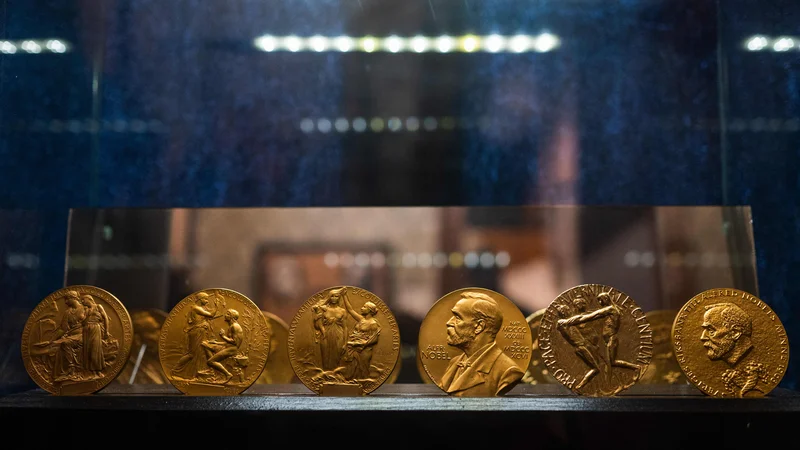 Fotografija: Od leta 1901 so Nobelove nagrade podelili 975 posameznikom, od tega le 59 ženskam.
FOTO: Jonathan Nackstrand/AFP