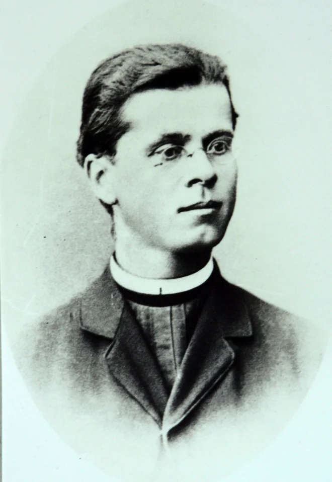 Simon Gregorčič je imel sedem bratov in sester. FOTO: Wikipedija
