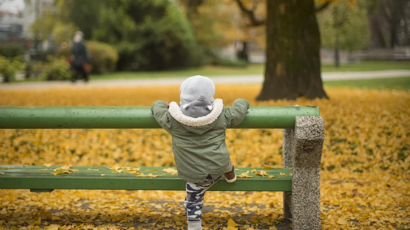 Fotografija: V Unicefu se zavzemajo tudi za to, da bi psihoterapevtsko pomoč primerno uzakonili in jo umestili v zdravstveno zavarovanje.
Foto Jure Eržen