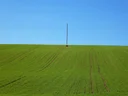 image_alt