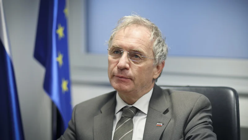 FOTO: Jože Suhadolnik/Delo