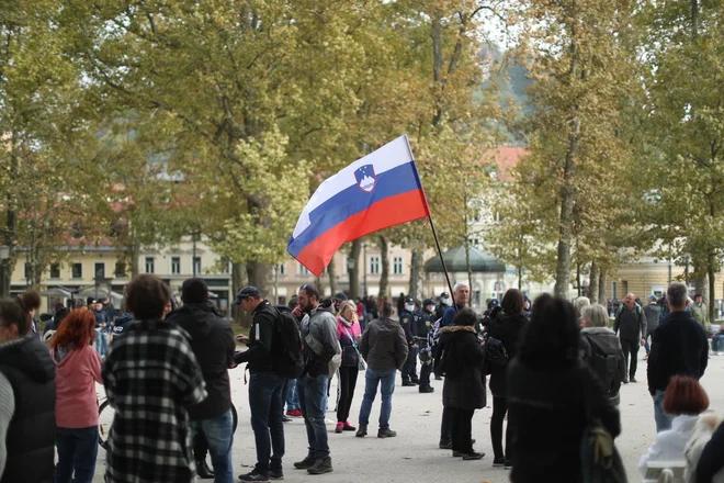 FOTO: Jure Eržen/Delo
