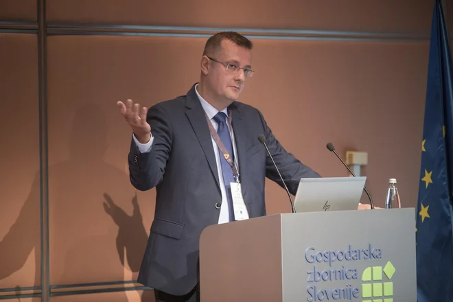 Damir Pelak, generalni direktor GrECo International, je na konferenci Javne investicije 2021 predstavil zavarovanje projektov s področja javnih investicij. FOTO: Jure Eržen/Delo
