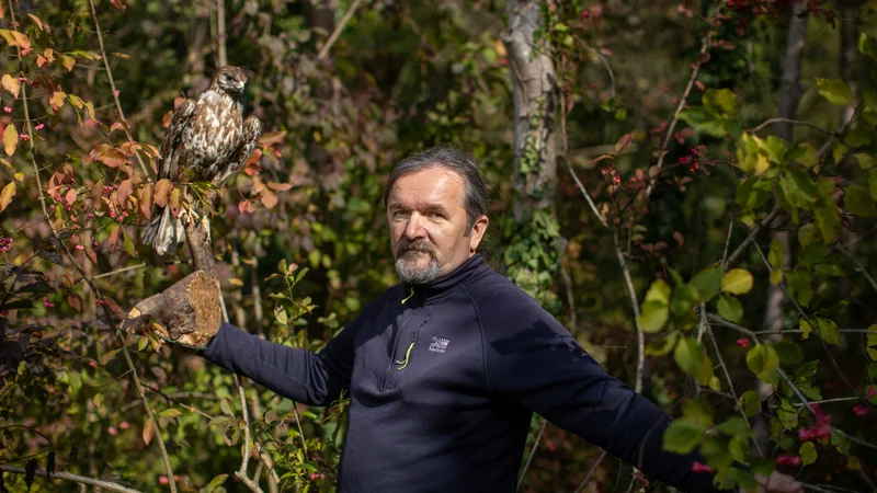 Fotografija: Dušan Klenovšek: »Pri varovanju narave je premalo ljudi, ki bi na pravilen način ljudem predstavljali, kaj sploh je narava. Sami pa ne najdemo več prave poti vanjo. Gremo ven teč, ampak s slušalkami v ušesih. Če na Triglav tečeš, ne vidiš ničesar. Lahko se zaletiš v kozoroga, pa ga ne boš videl. Kako boš videl planiko, če tečeš gor?« FOTO: Voranc Vogel/Delo