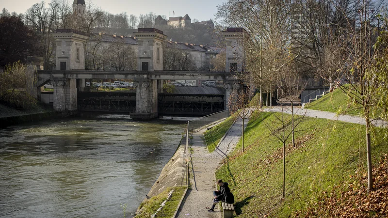 Fotografija: Žirijo so prepričali kakovost ljubljanskega zraka in vode, obsežne zelene površine na prebivalca, urejenost javnega prevoza in kolesarskih poti, naravni turizem in možnost aktivnih počitnic. FOTO: Voranc Vogel/Delo