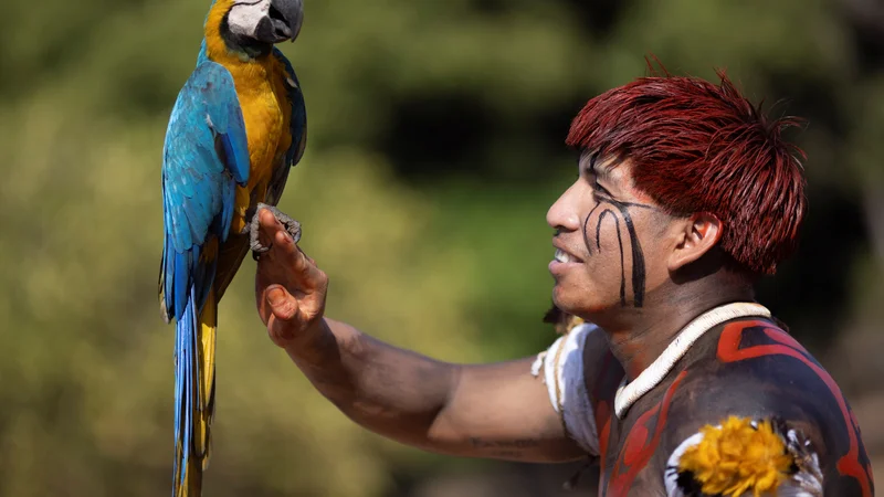 Fotografija: Portret člana brazilskega domorodnega plemena Yawalapita v avtohtonem parku Xingu. FOTO: Ueslei Marcelino/Reuters