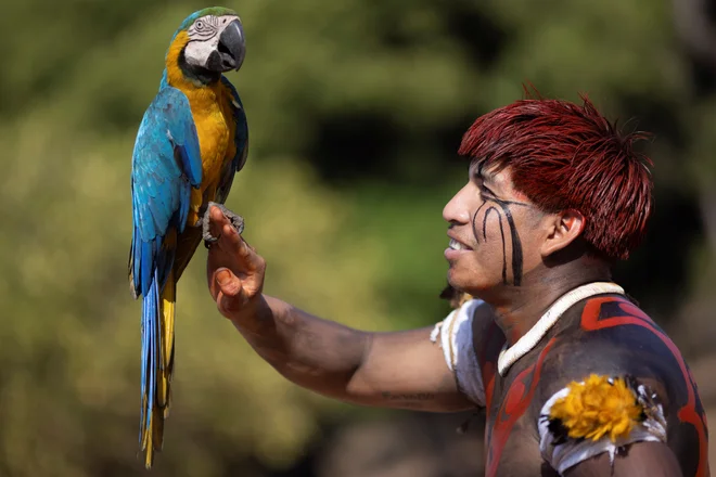 Portret člana brazilskega domorodnega plemena Yawalapita v avtohtonem parku Xingu. FOTO: Ueslei Marcelino/Reuters
