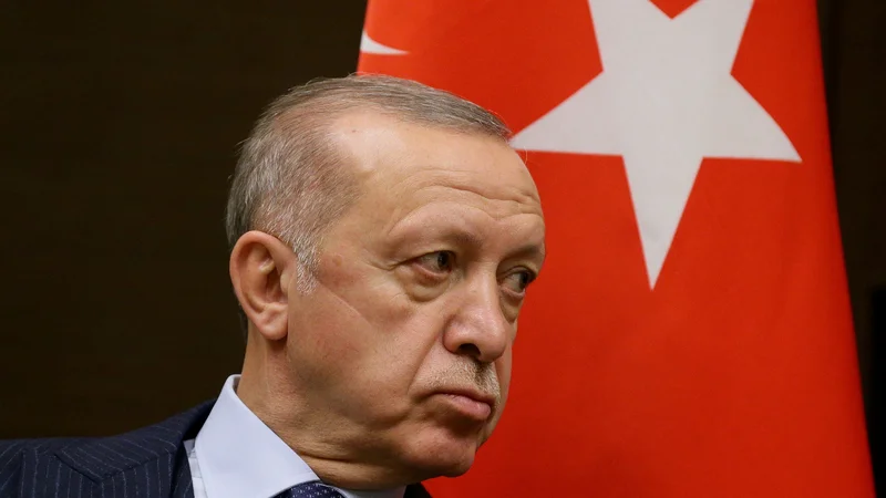 Fotografija: Turški predsednik Recep Tayyip Erdogan pričakuje odhod desetih veleposlanikov čim prej. FOTO: Reuters