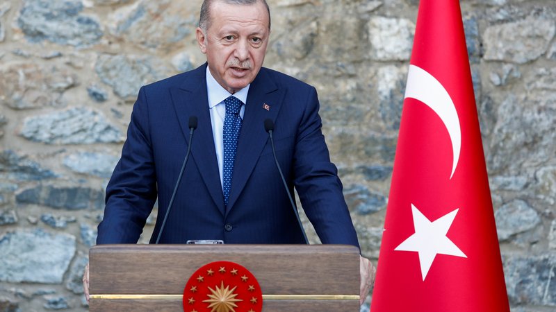 Fotografija: Turški predsednik Recep Tayyip Erdoğan je sporočil, da je zunanjemu ministrstvu naložil, naj deset tujih veleposlanikov razglasi za nezaželene osebe. FOTO: Murad Sezer/REUTERS
