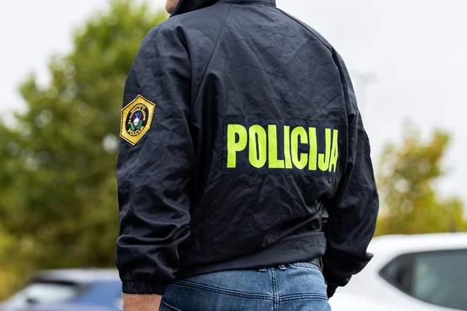 Policisti so ugotovili, da voznik ni posedoval veljavnega vozniškega dovoljenja. FOTO: arhiv Dela
