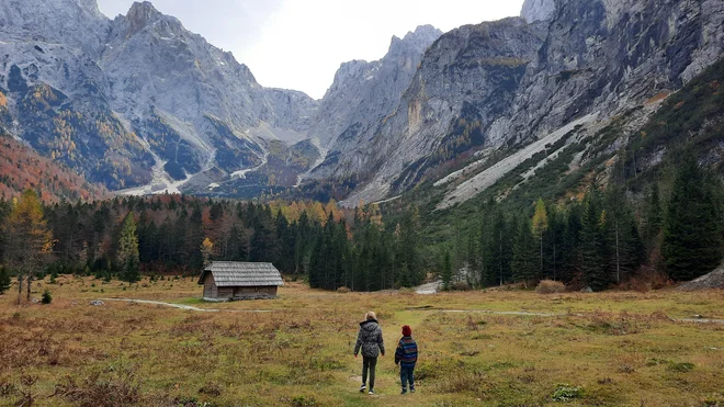 Meni je bilo najbolj všeč, da smo bili skupaj in da sta otroka končno pokazala malo zanimanja za naravo, ne le za zaslone raznoraznih naprav. FOTO: Agata Rakovec Kurent
