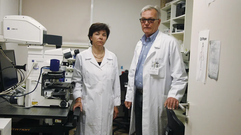 Fotografija: Dr. Maja Čemažar in dr. Gregor Serša na Onkološkem inštitutu Ljubljana skupaj z ekipo razvijata gensko zdravljenje raka. Foto Leon Vidic