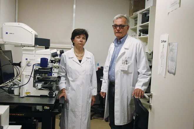 Dr. Maja Čemažar in dr. Gregor Serša na Onkološkem inštitutu Ljubljana skupaj z ekipo razvijata gensko zdravljenje raka. Foto Leon Vidic
