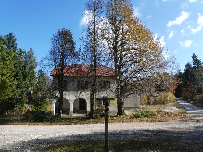 Osamljena. FOTO: Miroslav Braco Cvjetičanin/Delo
