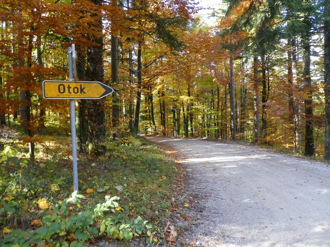 Tu se začne najlepši del kroga. FOTO: Miroslav Braco Cvjetičanin/Delo
