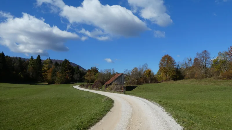 Fotografija: Makadamska ceste (so pred županjskimi volitvami v največji nevarnosti) v vsej svoji lepoti. FOTO: Miroslav Braco Cvjetičanin/Delo