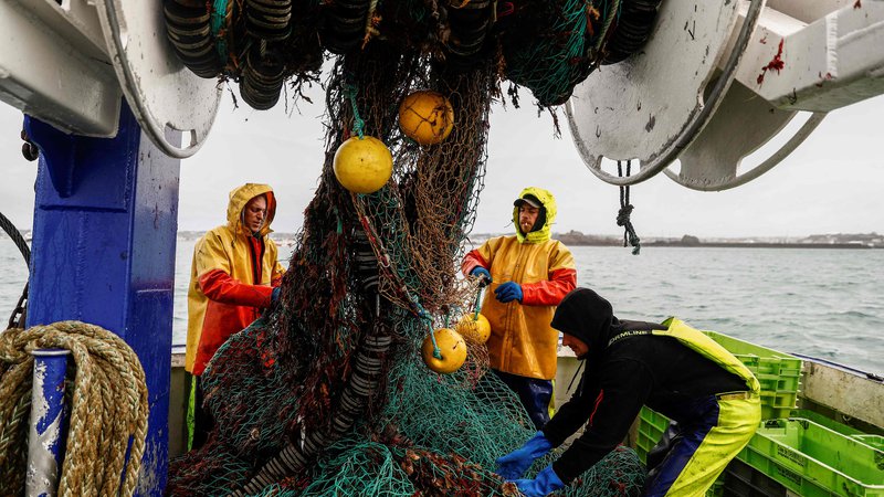 Fotografija: Majhen delež izdanih dovoljenj francoskim ribičem je mogoče interpretirati kot dokaz, kako si Združeno kraljestvo želi uveljaviti suverenost, ki mu jo je izstop iz EU prinesel na področju ribištva. Foto: Sameer al Doumy/AFP

