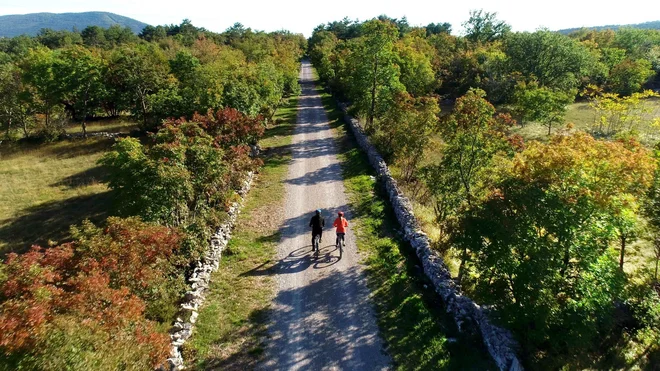 Živi muzej Krasa je območje, ki privablja tako slovenske kot italijanske turiste, raziskujete pa ga lahk peš ali s kolesi FOTO: Mitja Božič