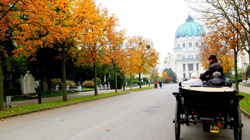 Fotografija: Dunajsko centralno pokopališče. Foto: Milan Ilić