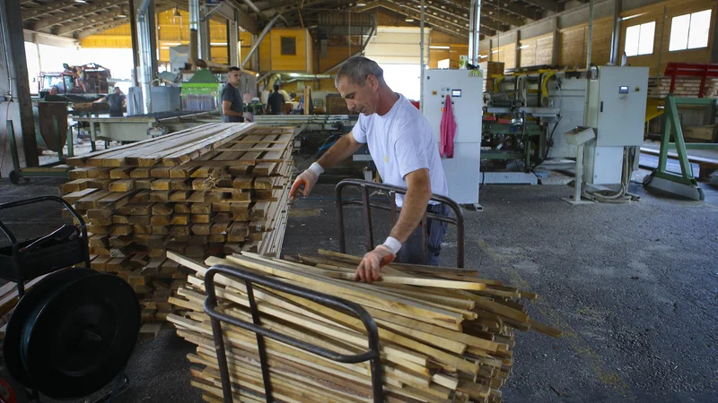 Fotografija: V lesnopredelovalni in pohištveni industriji se je od leta 2015 do 2020 povečalo povprečno število zaposlenih za 13,5 odstotka, čisti prihodki od prodaje za 24 odstotkov, dodana vrednost na zaposlenega za 23 odstotkov in neto čisti dobiček za 46 odstotkov. FOTO: Jože Suhadolnik/Delo