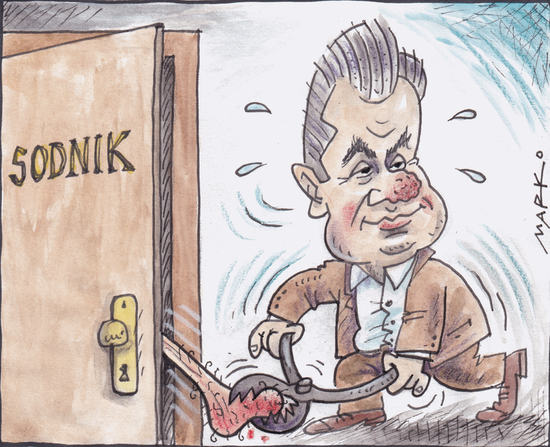Fotografija: KARIKATURA: Marko Kočevar