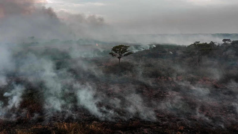 Fotografija: Pogled iz zraka na gozdni požar v naselju Porto Jofre, v brazilski zvezni državi Mato Grosso, septembra 2021 FOTO: Carl De Souza/AFP