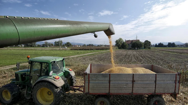 Fotografija: Fotografija je simbolična. FOTO: Blaž Samec/Delo