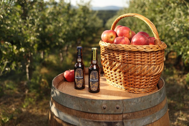 Fotografija: Malner Cider je narejen iz domačih slovenskih jabolk, ki zorijo v sončnem nasadu na robu Brkinov. FOTO:  Aljoša Rebolj
