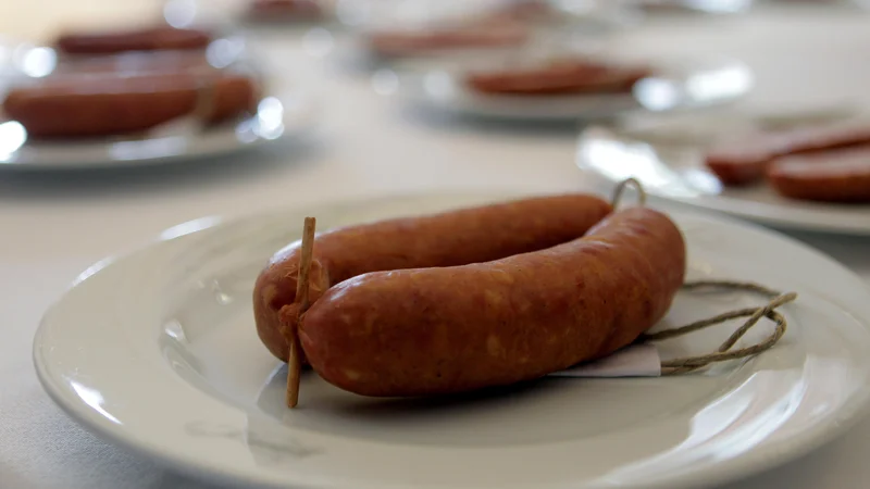 Fotografija: Krasila je poštne znamke, pojavila se je na jadralni regati, ima tudi pomembno vlogo v turistični ponudbi. Bila je tudi v vesolju, na mednarodno vesoljsko postajo jo je odnesla astronavtka slovenskega rodu Sunita Williams. FOTO: Ljubo Vukelič
