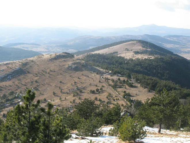 Projekt gradnje vetrnic na Volovji rebri je bil ustavljen zaradi zaščite beloglavega jastreba, planinskega orla, sršenarja, širokouhega netopirja, gozdnega jereba, evrazijskega risa ... FOTO: Dragica Jaksetič
