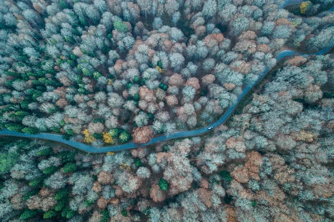 Foto Ozan Kose/AFP
